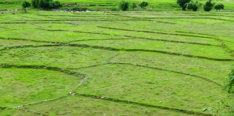 ७० प्रतिशत जमिनमा सिँचाइको व्यवस्था नै छैन