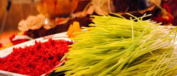 आजदेखि नेपालीको महान् चाड बडादसैँ सुरु
