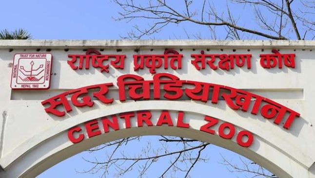 चिडियाखाना रहेका जनावरको अभिभावकत्व ग्रहण गर्न सर्वसाधारणमा रुचि