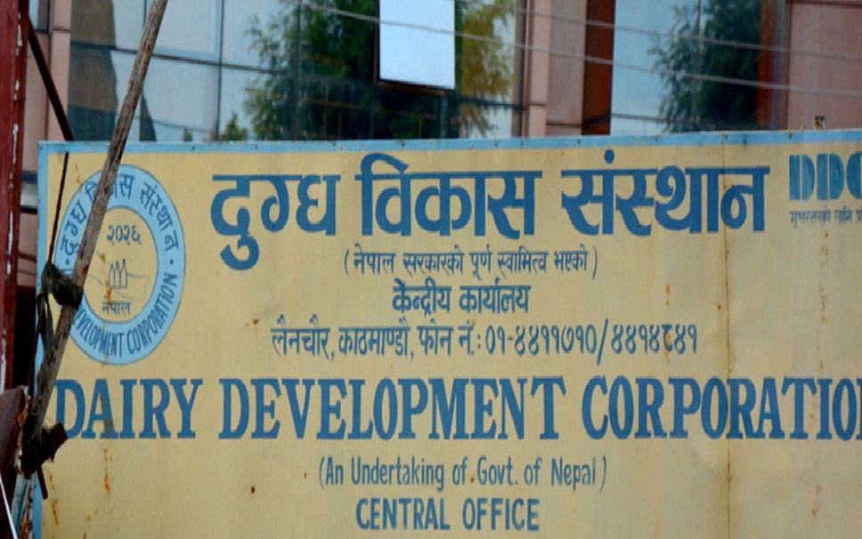 दुग्ध विकास संस्थानको महाप्रबन्धकमा झा नियुक्त
