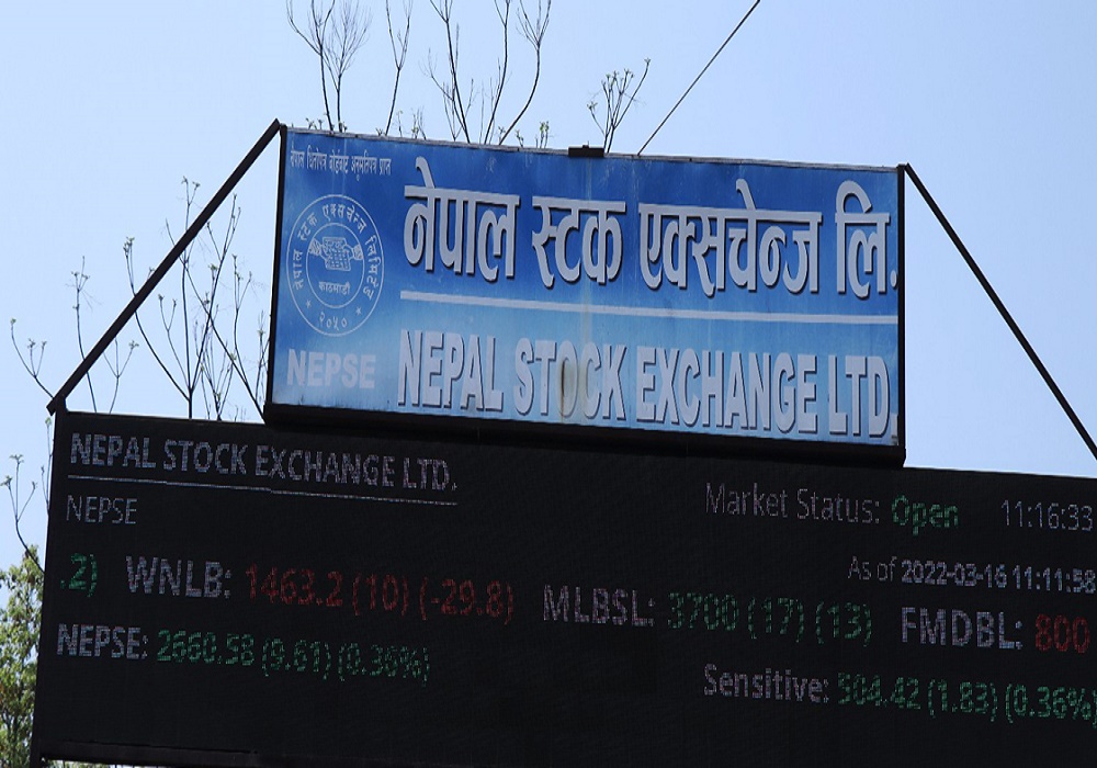 हाइड्रोपावर चम्किँदा नेप्सेमा उछाल