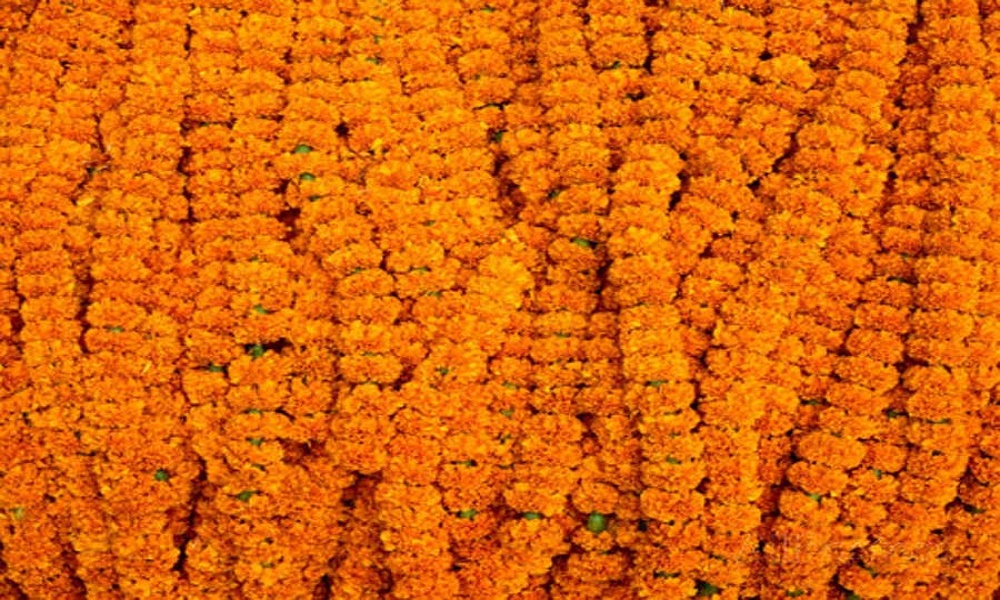 तिहारको झल्को दिने गरी चुनावमा फुल विक्री, नसोचेको व्यापार हुँदा विक्रेता दङ्ग
