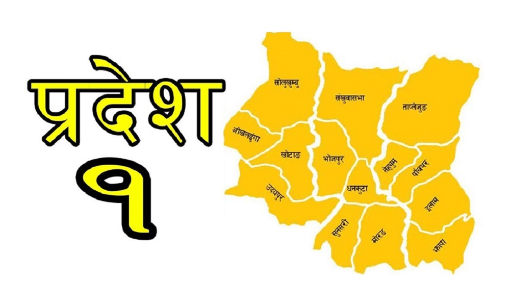 प्रदेश १ मा पुरुष जनप्रतिनिधिको हालीमुहाली, यस्तो छ महिला पछि पर्नुको कारण ?