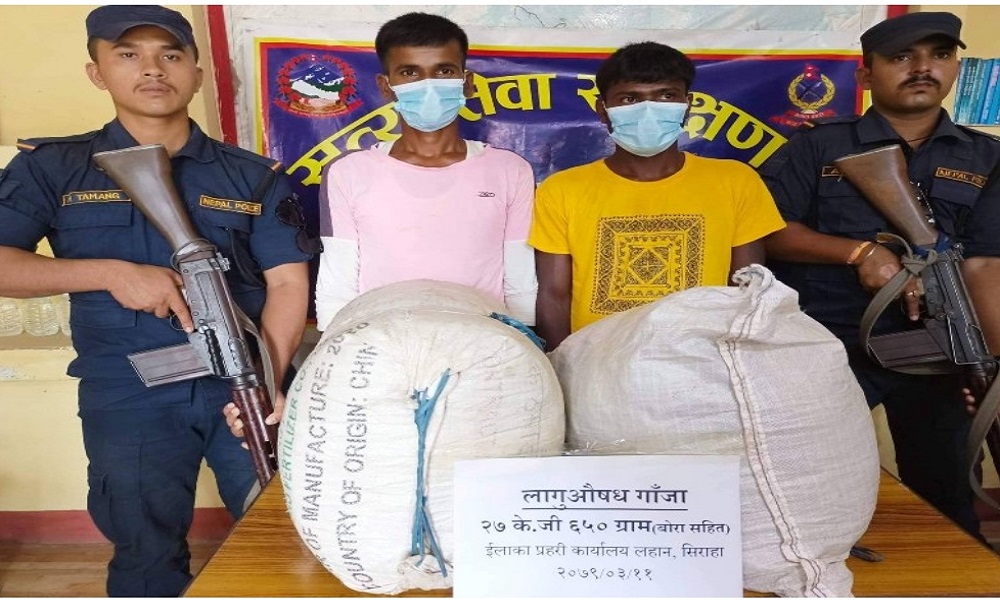 सिरहामा २७ किलो गाँजासहित दुई युवक पक्राउ