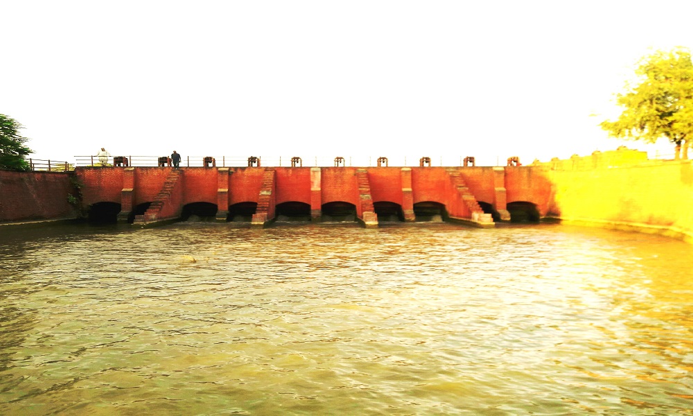 चन्द्र नहरको बाध भत्किँदा दर्जनौँ घर डुबानमा, सयौं बिघा धानबाली नष्ट