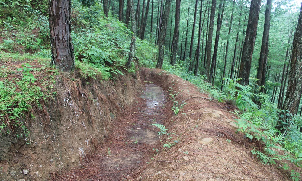 भूमिगत जलसंरक्षणका लागि ट्रेञ्च निर्माण