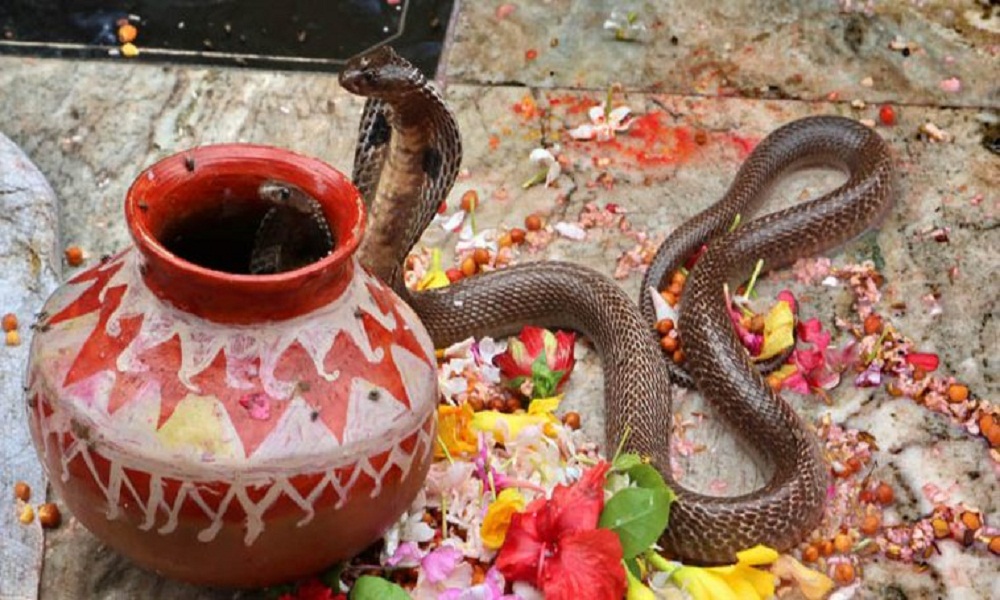 मुलढोकामा नागको तस्विर राखी देशैभरी नाग पञ्चमी मनाईदै
