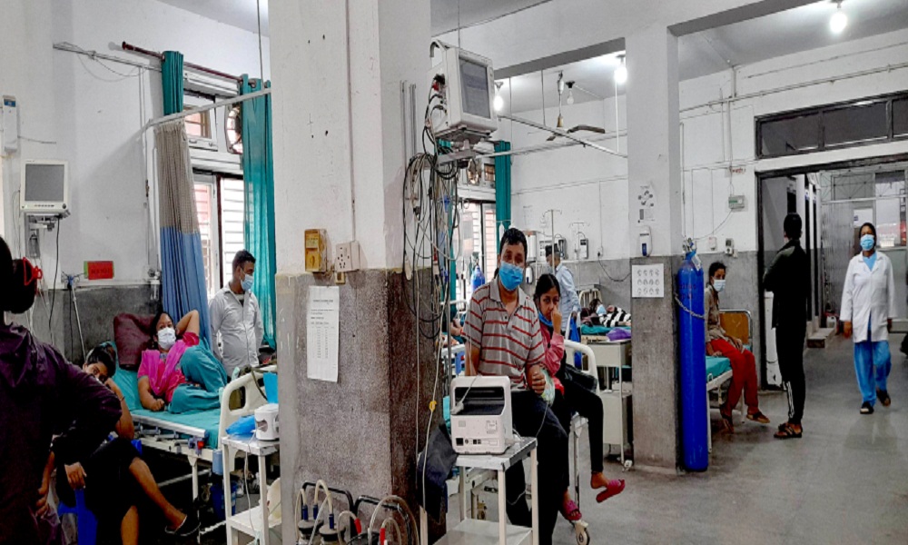 उपत्यकामा डेंगुका बिरामी ह्वात्तै बढे