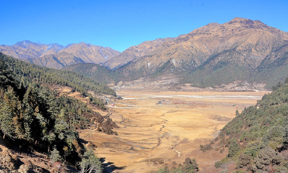 पुग्नै मुस्किल छ ढोरपाटन