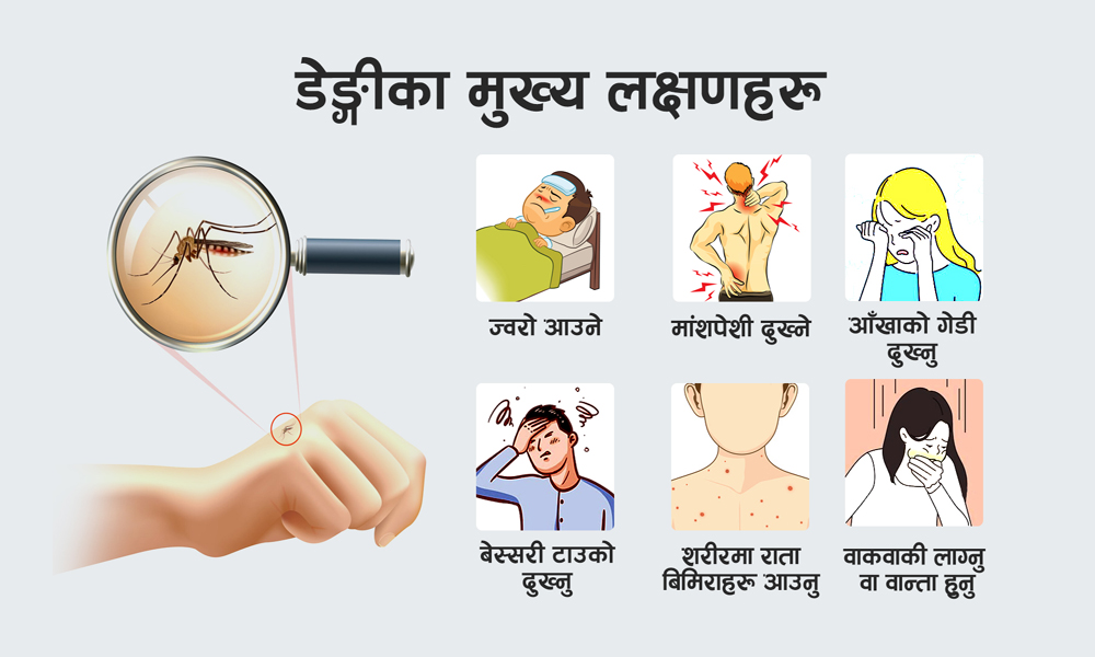 डेङ्गीको सङ्क्रमण देशव्यापी, ज्यान गुमाउनेको संख्या ३६ पुग्यो
