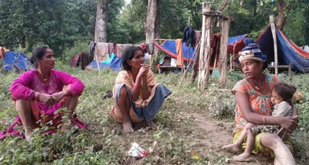 कञ्चनपुरका बाढीपीडितको जंगलमै बास