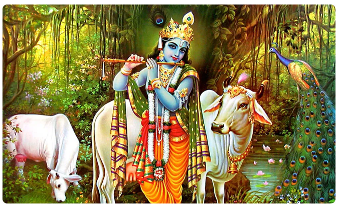बुधबार कृष्ण अवतारको पूजा गर्नुहोस्