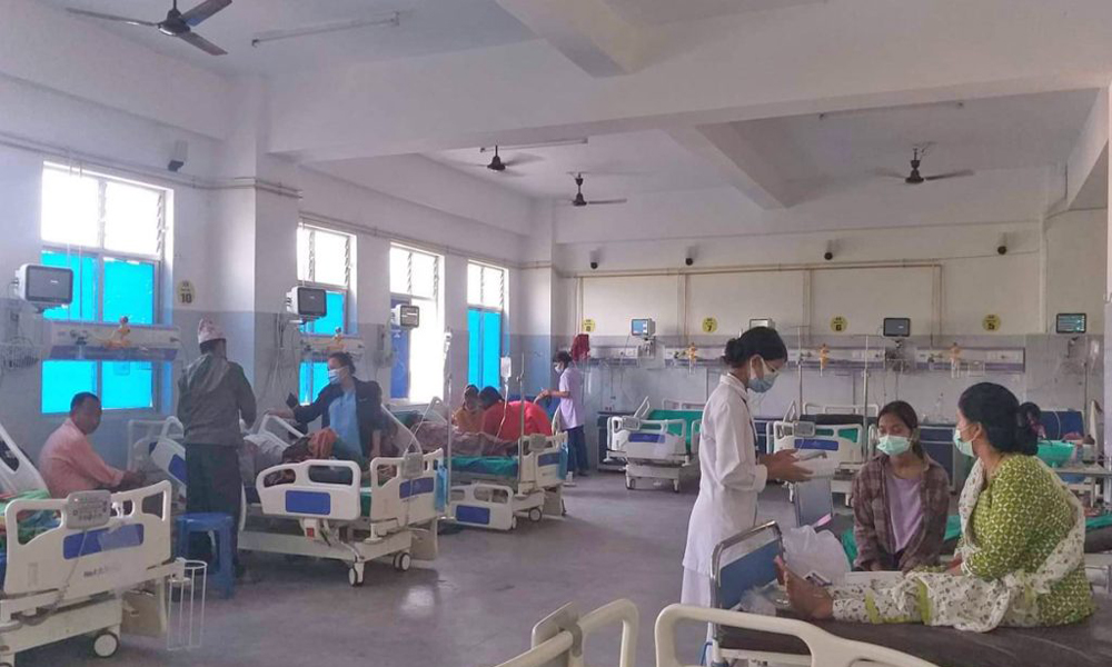पश्चिम तराईमा डेंगुको महामारी