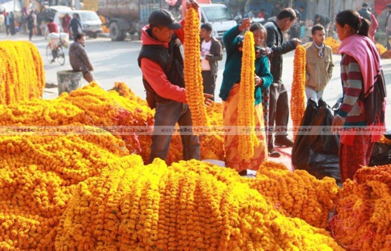 समयमा फूल नफुल्दा भारतबाट दुई लाख तयारी माला भित्र्याइयो