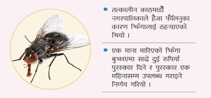 झिँगा मानाको साढे दुई रुपियाँ !