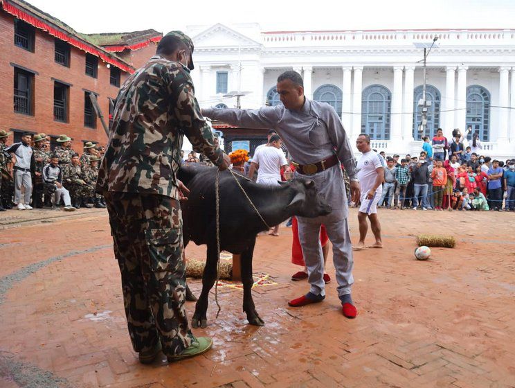 हनुमानढोकामा दिइयो बोका र राँगाको बलि